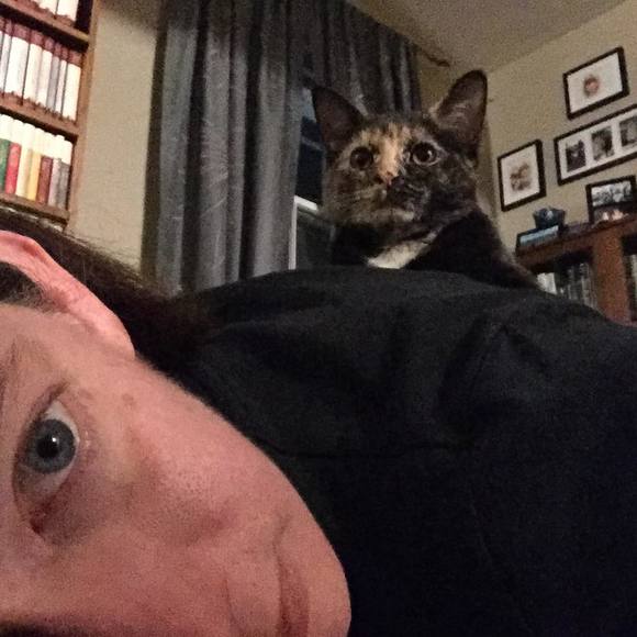 katescales